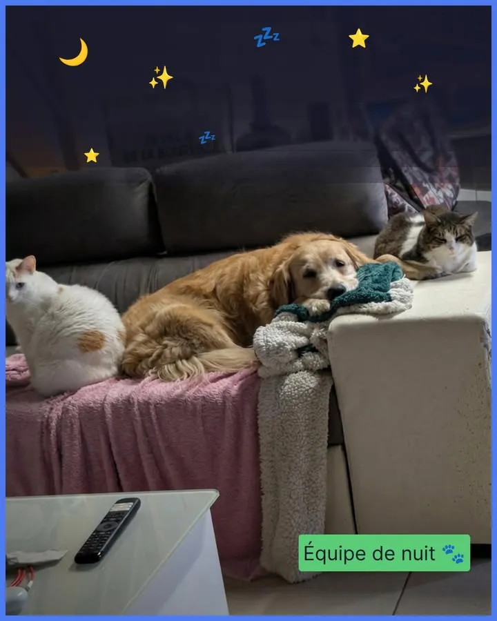 Actualité SIM32